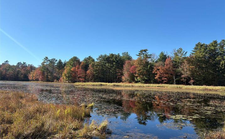 Pictures of Land, Multifamily property located at Lot 4 Deer Meadow Road, Bethel, NY 12786 for sales - image #1