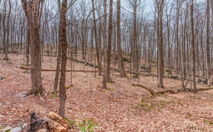 Pictures of Land, Multifamily property located at 32 Joshua Hobby Lane, Pound Ridge, NY 10576 for sales - image #1