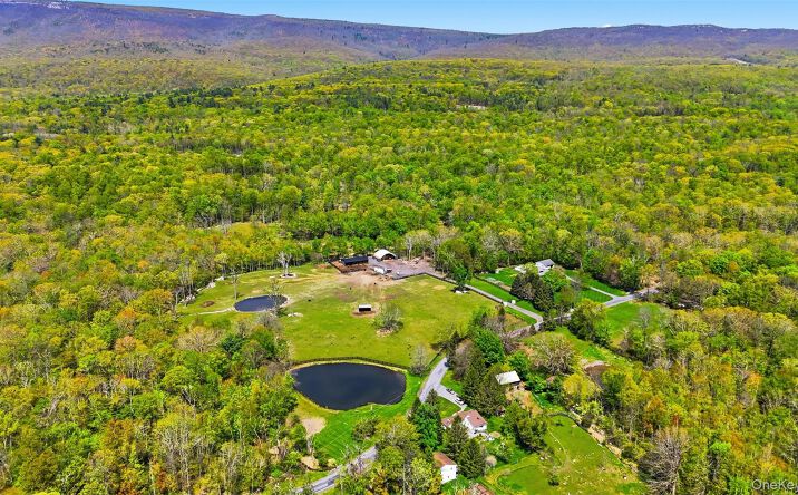 Pictures of Mixed Use, Land, Industrial property located at 51 Redder Road, Shawangunk, NY 12566 for sales - image #1
