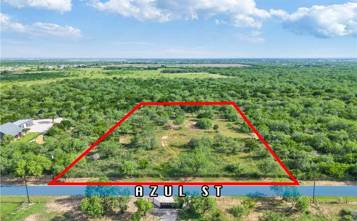 Pictures of Land, Multifamily property located at Azul Street, Edinburg, TX 78542 for sales - image #1