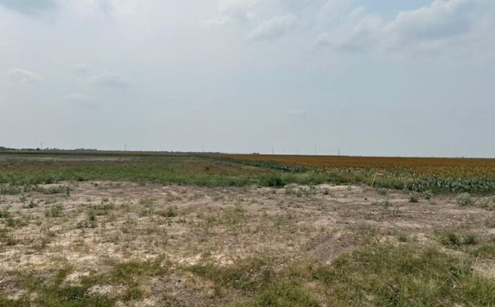 Pictures of Land, Multifamily property located at lot 3 Briggs Cloeman Briggs Road, Harlingen, TX 78550 for sales - image #1