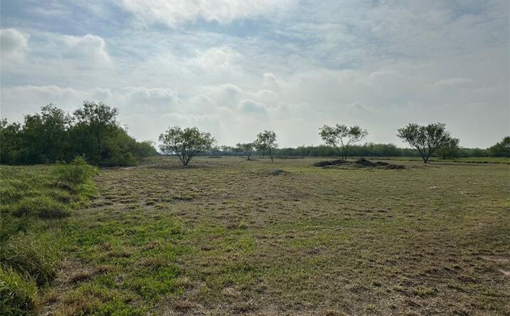 Pictures of Land, Multifamily property located at 18574 Villa Hermosa Drive, Penitas, TX 78572 for sales - image #1