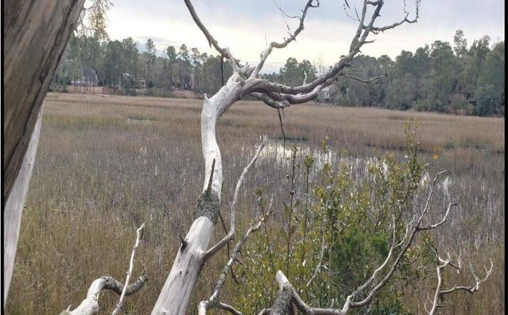 Pictures of Land property located at Pandion Dr, Wilmington, NC 28411 for sales - image #1