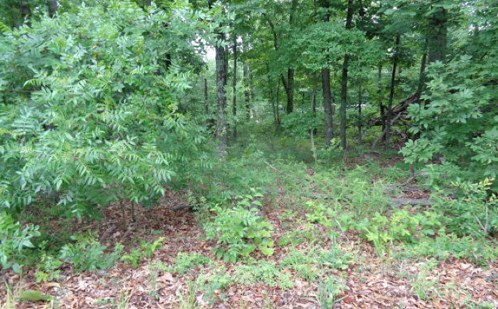 135 Chestnut Ridge, Buchanan
