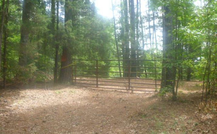 Forest Lane, Buchanan