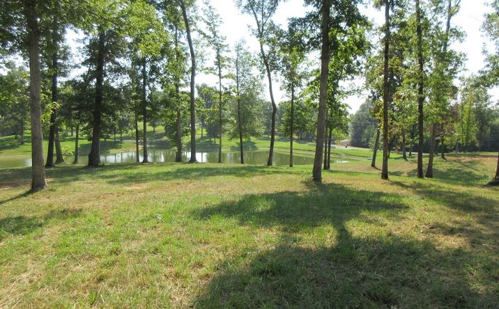 Broadview Rd, Springville