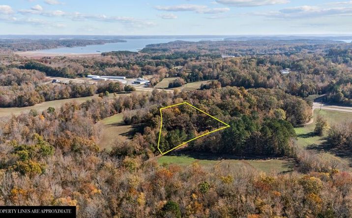 Pictures of Land, Multifamily property located at 12225 Off Highway 79 N, Buchanan, TN 38222 for sales - image #1