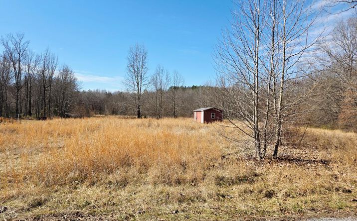 Pictures of Land, Multifamily property located at 603 Gobbler Dr, Holladay, TN 38341 for sales - image #1