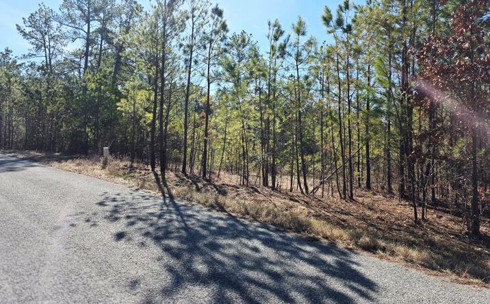 Pictures of Land, Multifamily property located at Allen Mill Bridge Rd, Camden, TN 38320 for sales - image #1