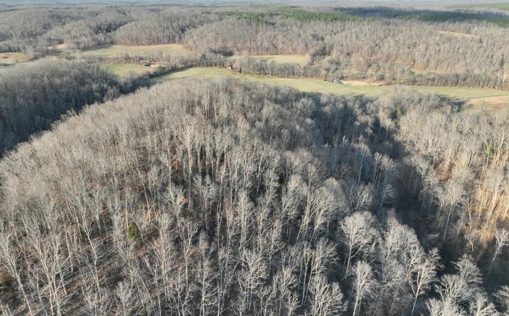 Pictures of Land, Multifamily property located at 1356 Upper Standing Rock Rd, Dover, TN 37058 for sales - image #1