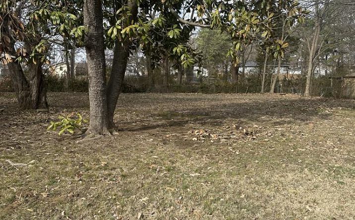 Pictures of Land, Multifamily property located at Brooks Street, Paris, TN 38242 for sales - image #1