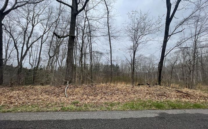 Pictures of Land, Multifamily property located at 1 Forest Trail, Bumpus Mills, TN 37028 for sales - image #1