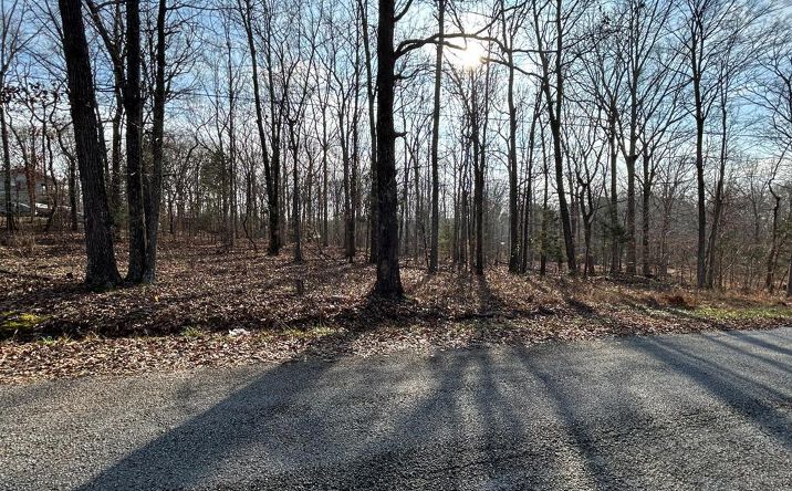 Pictures of Land, Multifamily property located at 15 Red Bud Ln, Big Sandy, TN 38221 for sales - image #1