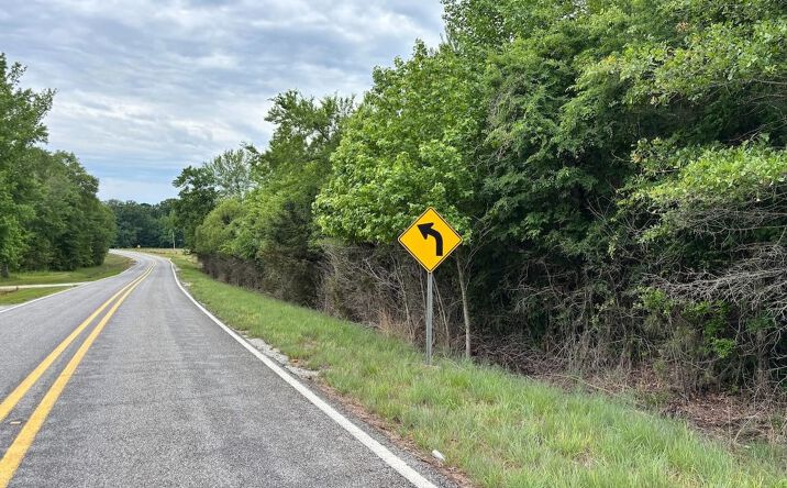Pictures of Land property located at 004 Highway 17, Canton, MS 39046 for sales - image #1