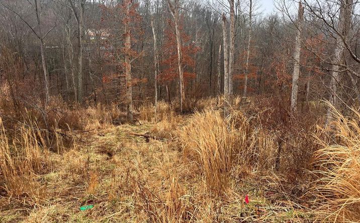 Pictures of Land, Multifamily property located at 9 Joplin Pl, South Charleston, WV 25309 for sales - image #1