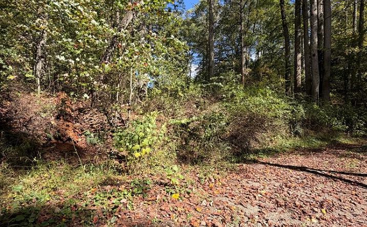 Pictures of Land, Multifamily property located at Orchard Hill Rd, Beaver, WV 25813 for sales - image #1
