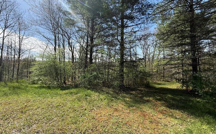 Pictures of Land, Multifamily property located at Veterans Rd., Beckley, WV 25801 for sales - image #1