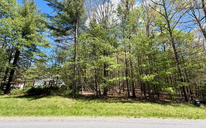 Pictures of Land, Multifamily property located at 360 Edward Drive # 5, Daniels, WV 25832 for sales - image #1