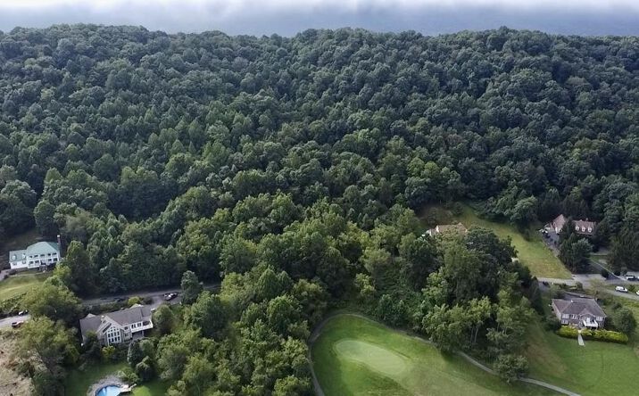 Pictures of Land, Multifamily property located at 63 Fairway View Dr., Peterstown, WV 24963 for sales - image #1