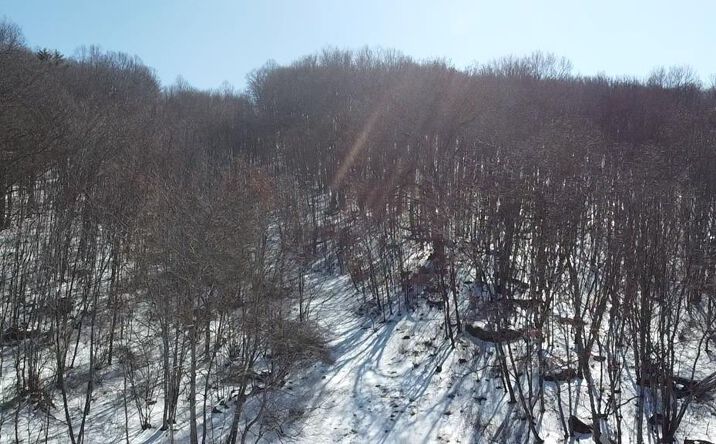 440 Kegley Trestle Road, Princeton