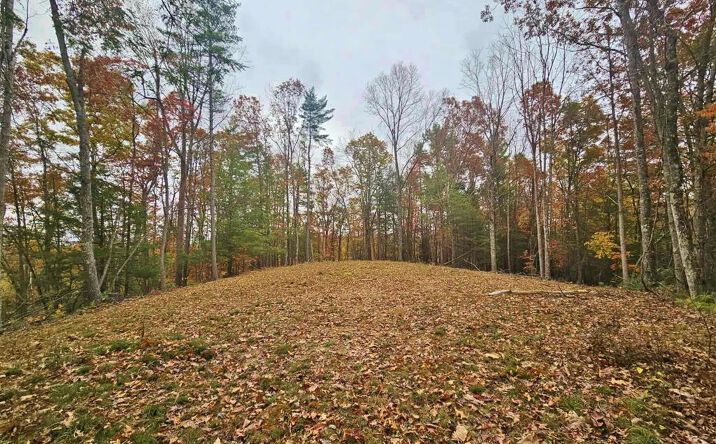 700 Ellison School Road, Camp Creek