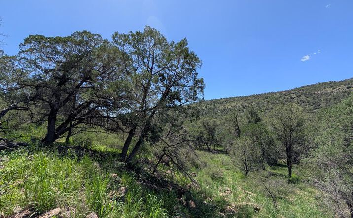 Pictures of Land, Multifamily property located at 312 Limpia Canyon Trail, Fort Davis, TX 79734 for sales - image #1