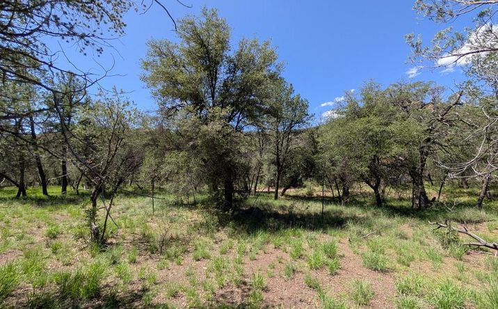 Pictures of Land, Multifamily property located at 310 Limpia Canyon Trail, Fort Davis, TX 79734 for sales - image #1