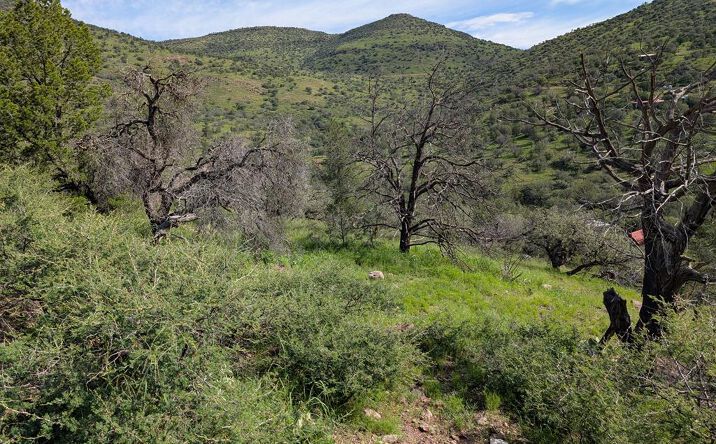 Pictures of Land, Multifamily property located at 101 Tejano Canyon, Fort Davis, TX 79734 for sales - image #1