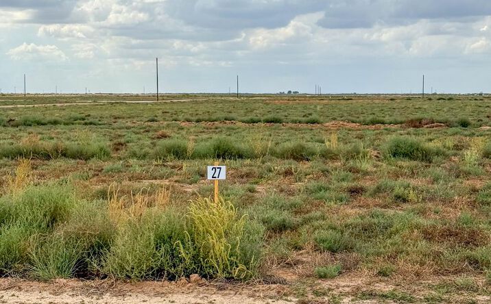 Pictures of Land, Multifamily property located at TBD BLUE QUAIL RUN LOT 27, Seminole, TX 79360 for sales - image #1