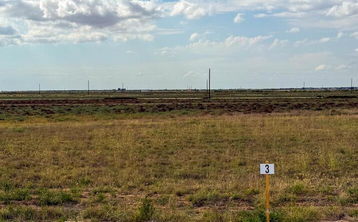 Pictures of Land, Multifamily property located at LOT 3 County Rd 409-K, Seminole, TX 79360 for sales - image #1
