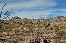 32420002