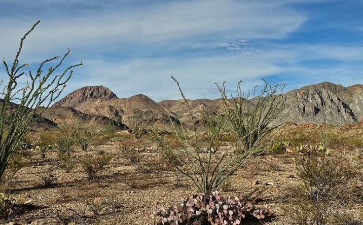 Pictures of Land property located at TBD Gate 4 Road, Terlingua, TX 79852 for sales - image #1