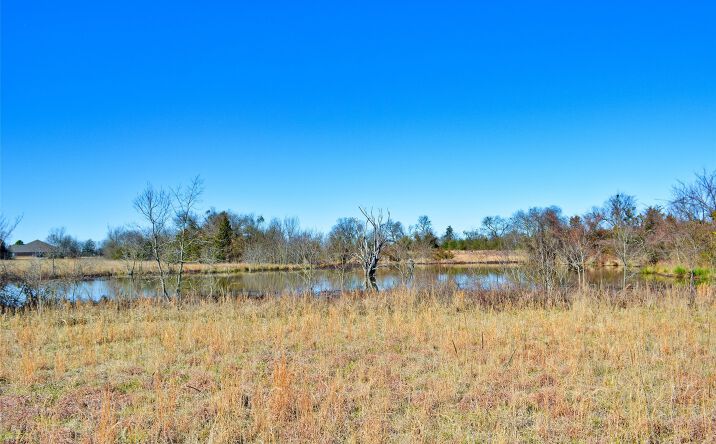 Pictures of Land property located at 15 N 4247 Road, Hugo, OK 74743 for sales - image #1