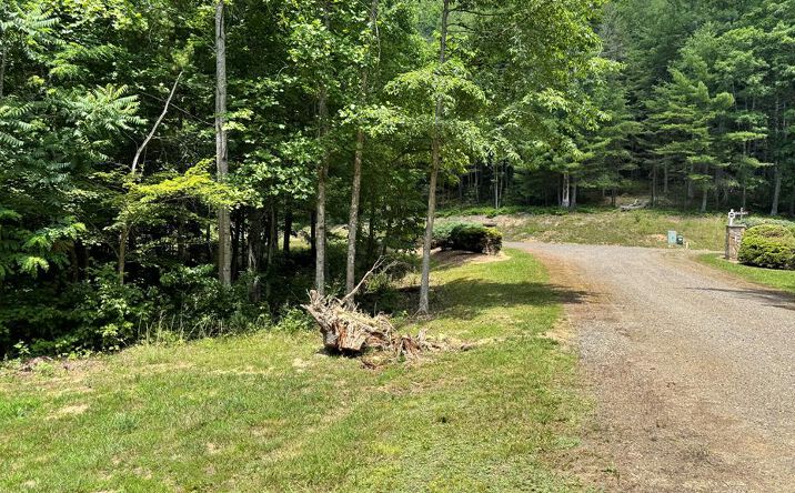 Pictures of Land, Multifamily property located at Lot 49 River Oaks Drive, Austinville, VA 24312 for sales - image #1