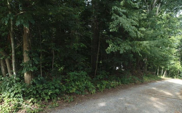 Pictures of Land, Multifamily property located at TBA Webb Dr, Abingdon, VA 24211 for sales - image #1