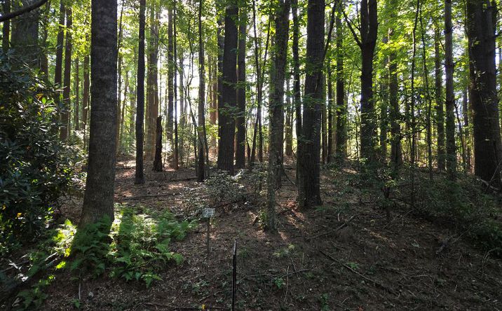 TBD Evergreen Trail, Fancy Gap
