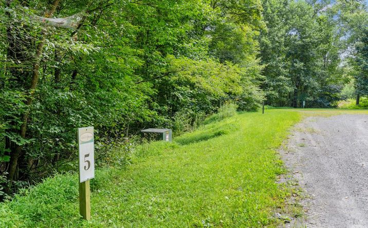 Pictures of Land, Multifamily property located at TBD Lot 5 Old Mill Court, Fancy Gap, VA 24328 for sales - image #1