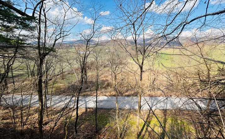 Pictures of Land, Multifamily property located at TBD Wilkins Ln, Wytheville, VA 24382 for sales - image #1