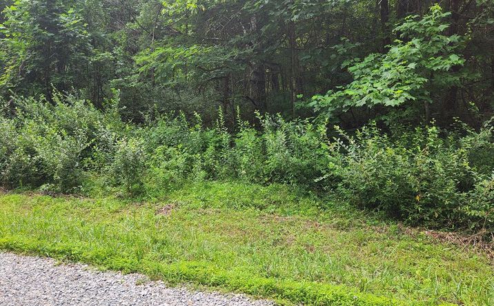 Lot 38 Hickory Hollow Ln, Copper Hill
