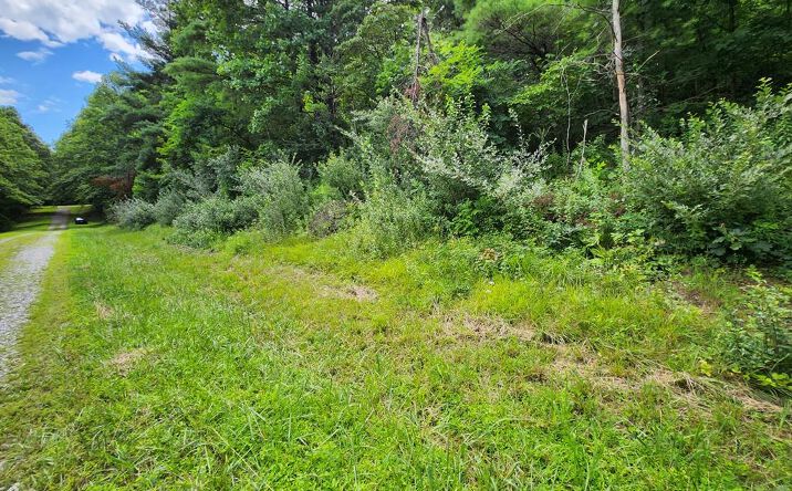 Lot 37 Hickory Hollow Ln, Copper Hill