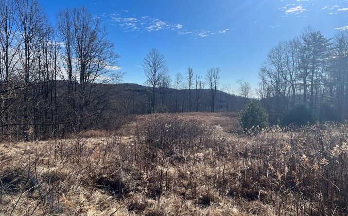 TBD Partridge Circle Lots 15 & 16, Fancy Gap