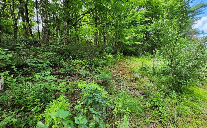 TBD Hickory Hollow Ln, Copper Hill