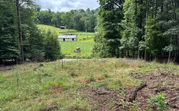 TBD Victory Ln., Hillsville