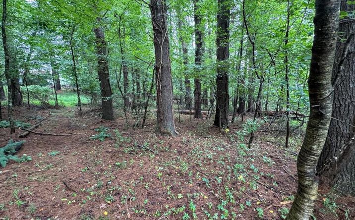 TBD Rosebud Ln., Hillsville
