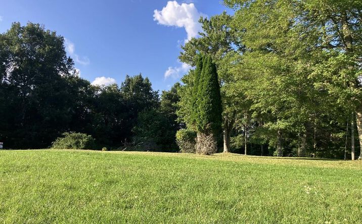 Pictures of Land, Multifamily property located at 437 Shelor Rd Sw, Meadows of Dan, VA 24120 for sales - image #1