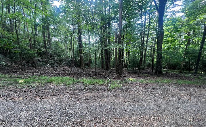 TBD Powhatan Trail Lots 41, Fancy Gap