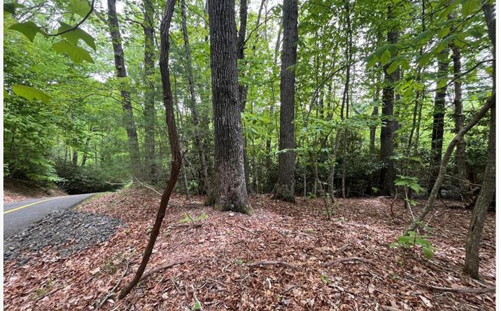 Pictures of Land, Multifamily property located at Old Hollow Tr, Fancy Gap, VA 24328 for sales - image #1