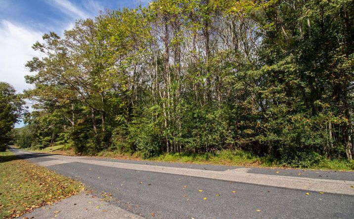 Pictures of Land, Multifamily property located at TBD Golf Course Rd, Spencer, VA 24165 for sales - image #1