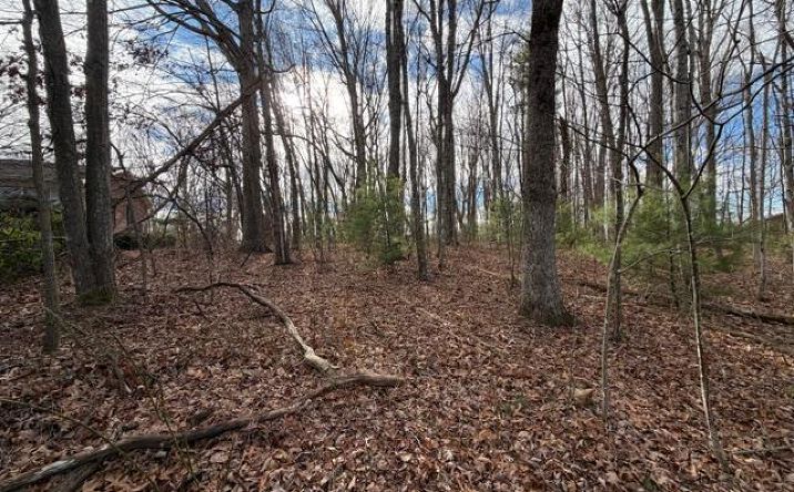 Pictures of Land, Multifamily property located at Lots 3&4 Ivanhoe Road, Max Meadows, VA 24360 for sales - image #1