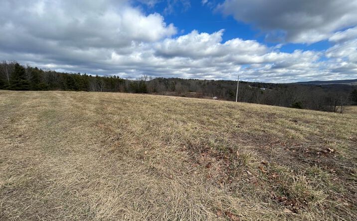 Pictures of Land, Multifamily property located at 6.86 ac Meadow View Lane, Max Meadows, VA 24360 for sales - image #1